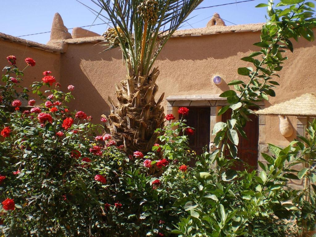 Maison D' Hotes Ait Hmid Nkob Exteriör bild
