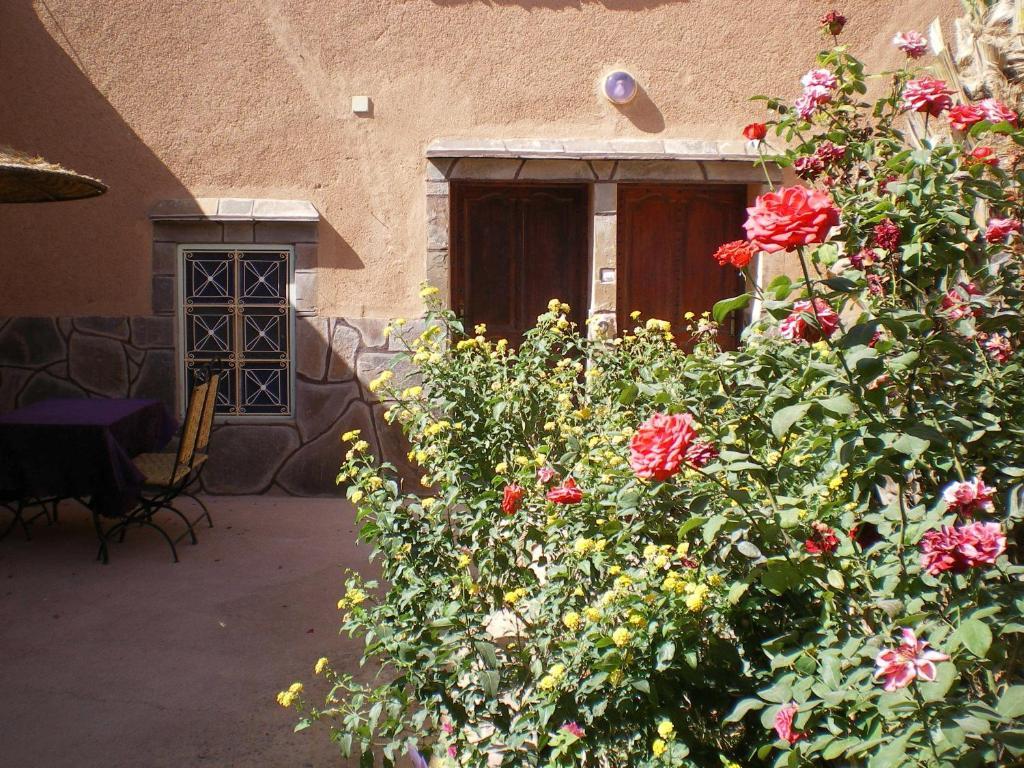 Maison D' Hotes Ait Hmid Nkob Exteriör bild