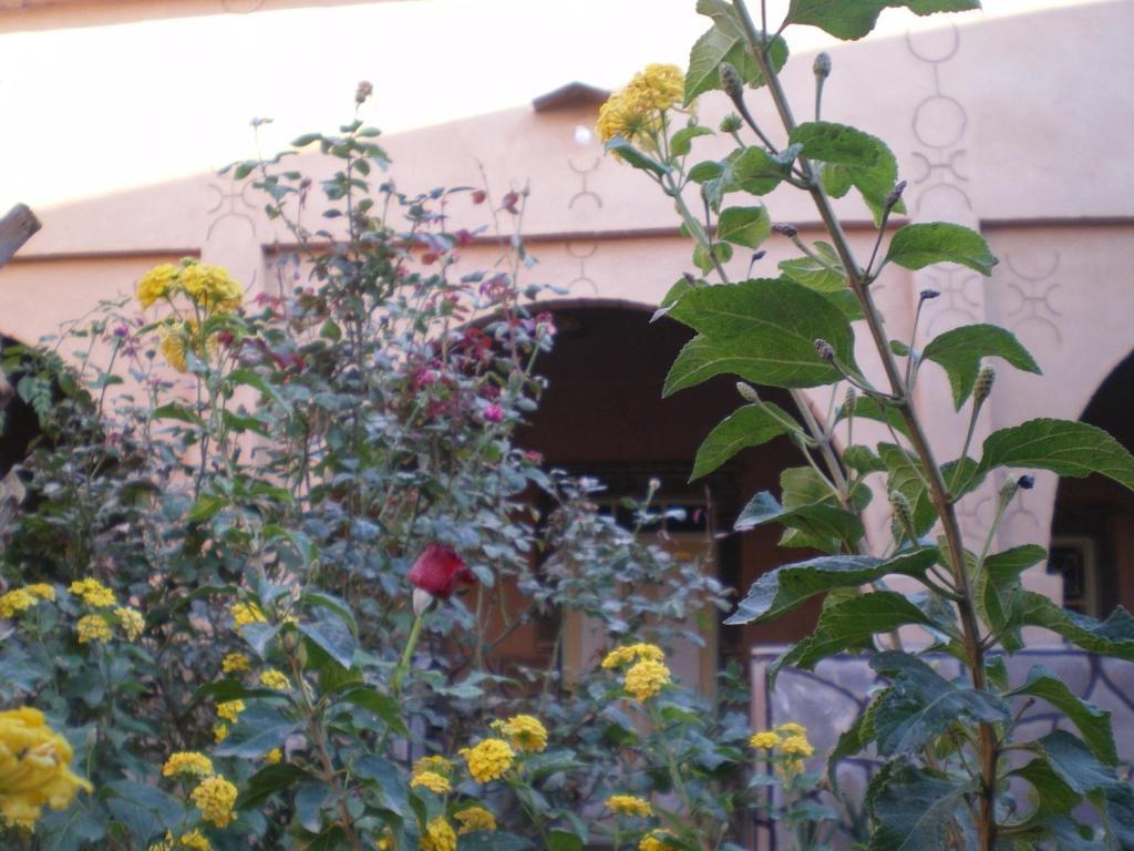 Maison D' Hotes Ait Hmid Nkob Exteriör bild